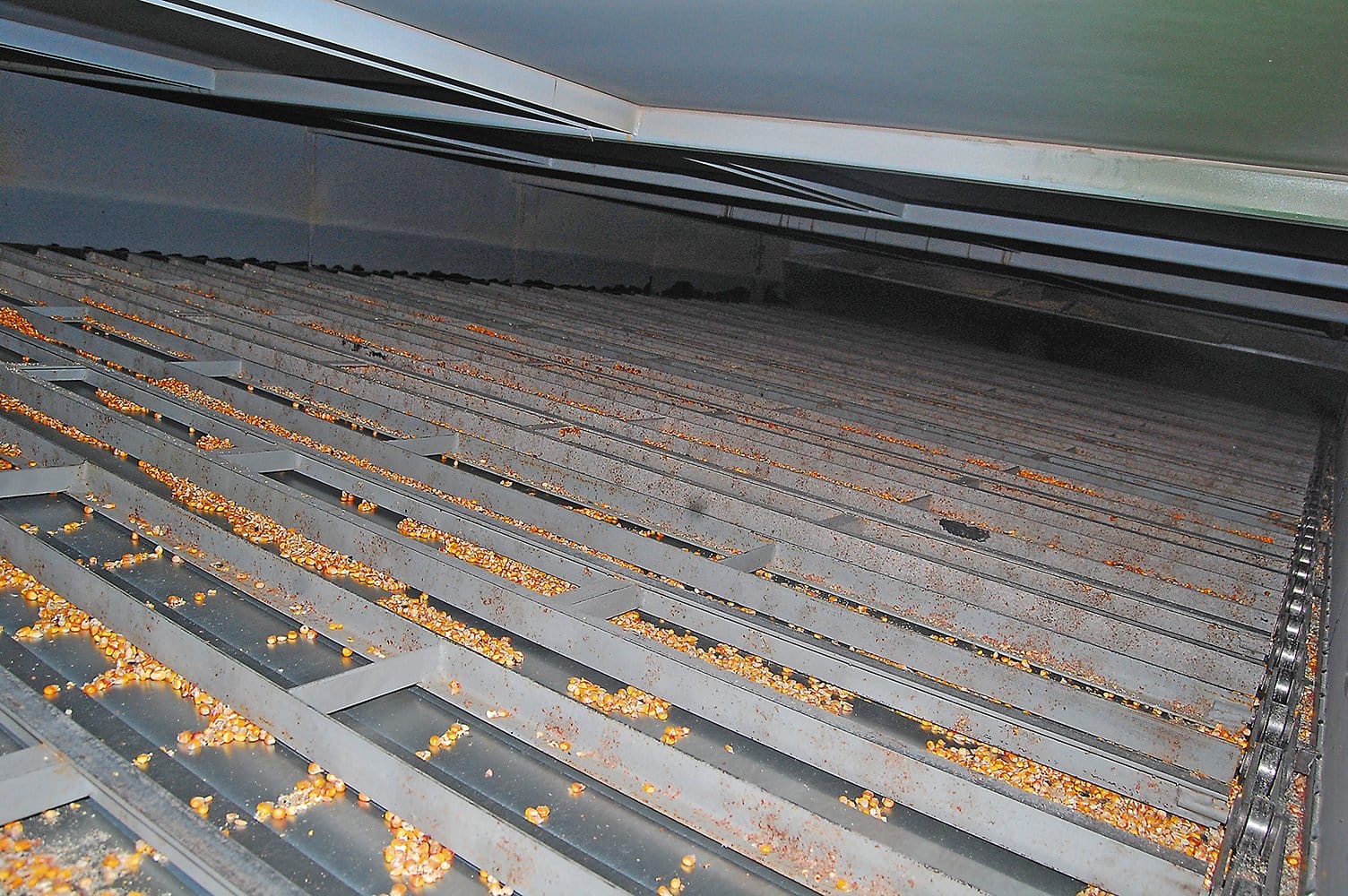 Конвейер зерносушилки Alvan Blanch