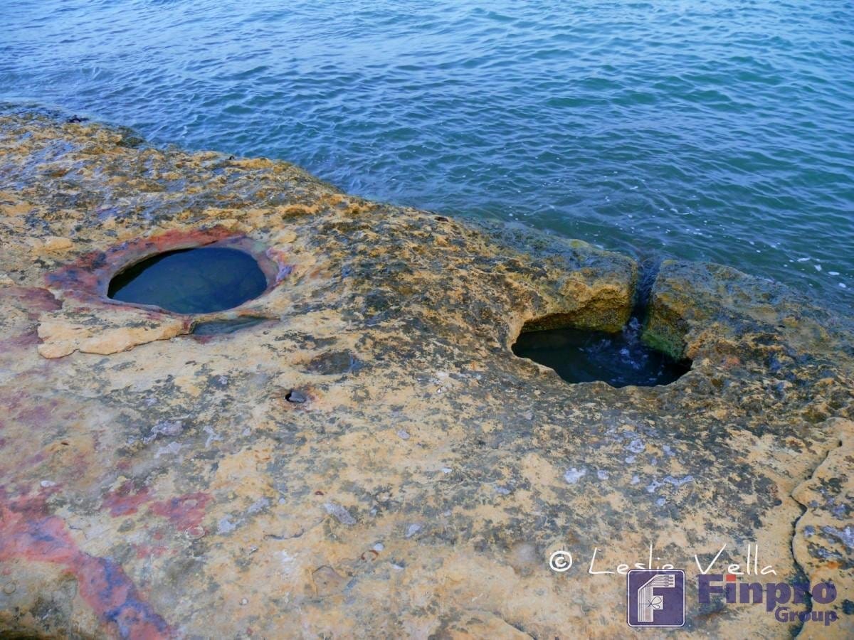 История силоса