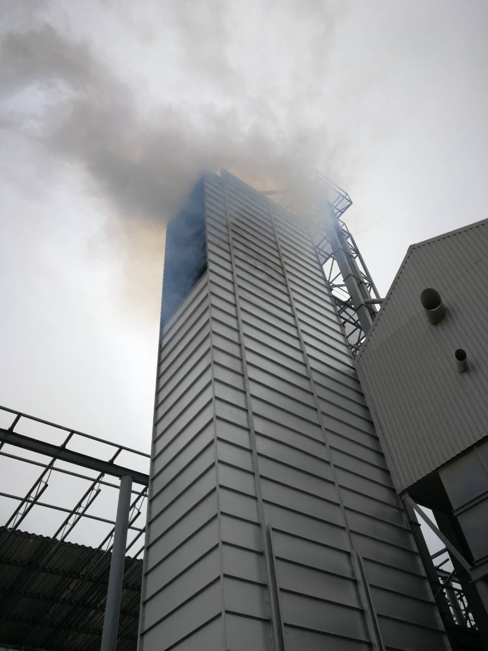 Дым из зерносушилки Bonfanti после перевода на твердое топливо