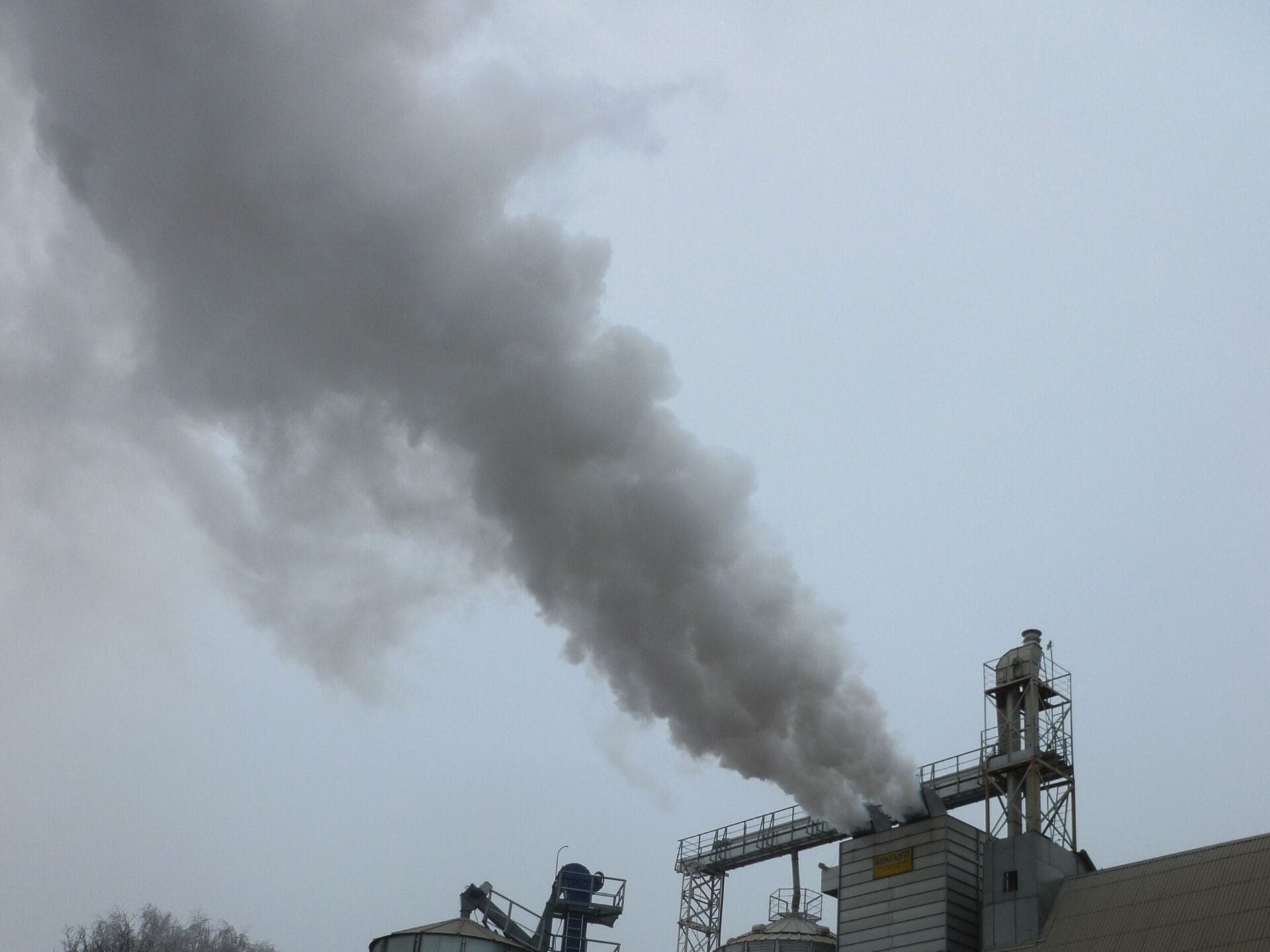 Дым из зерносушилки Бонфанти на твёрдом топливе