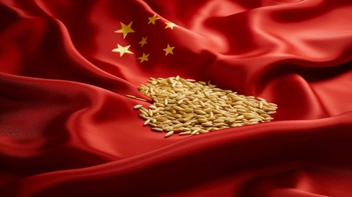 Китайские зерносушилки