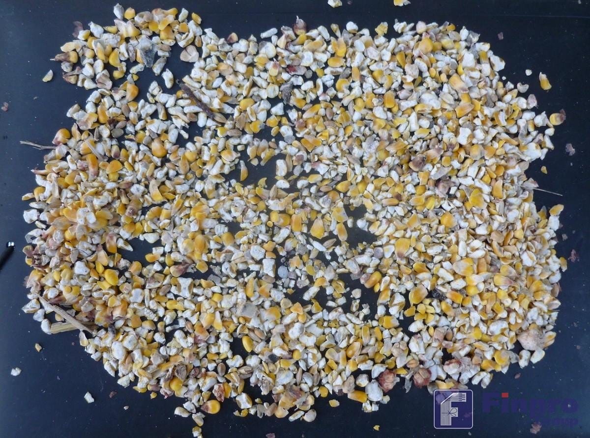 Зерно, битое в самотёках