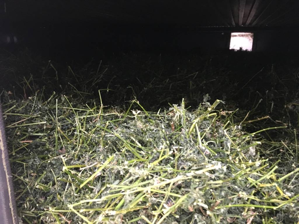 Люцерна в сушилке Сколари