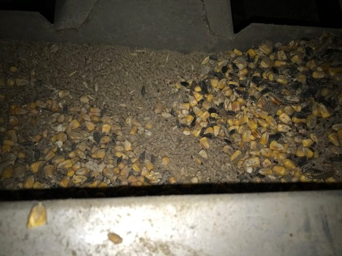 Остатки подсолнечника в зерновой шахте перед началом сушки кукурузы неизбежно бы привели к пожару