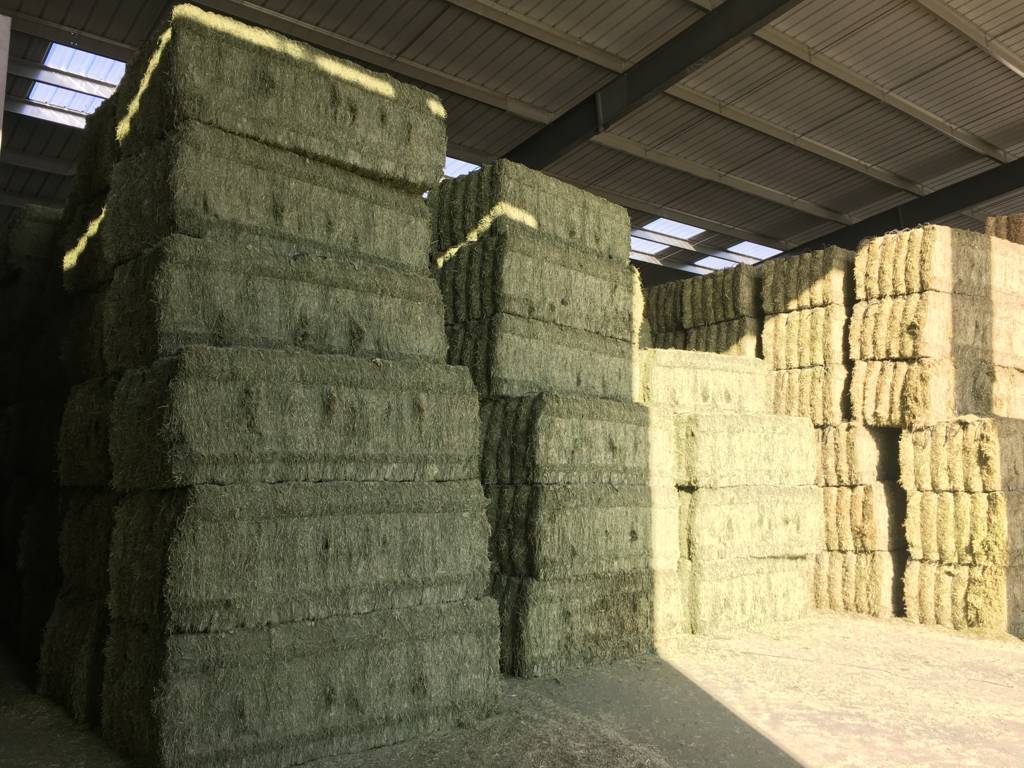 Хранение люцерны